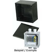 Hard rubber junction box type 1010